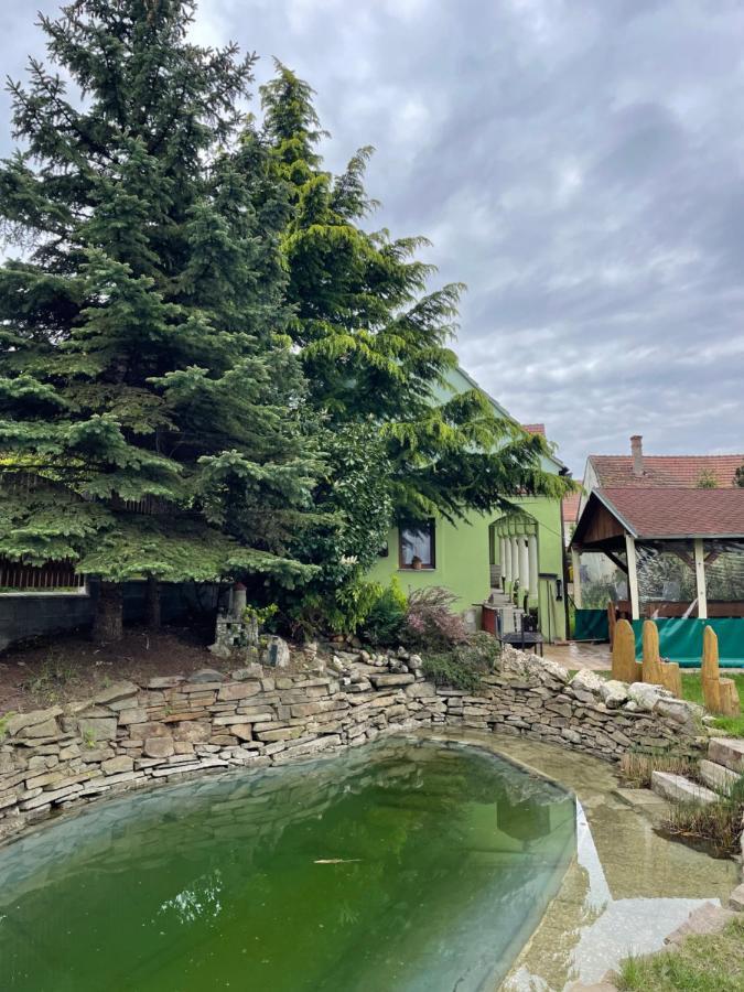 Na Upati Palavy Hotel Horni Vestonice Exterior photo